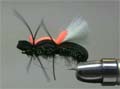mucha The Steroid Ant